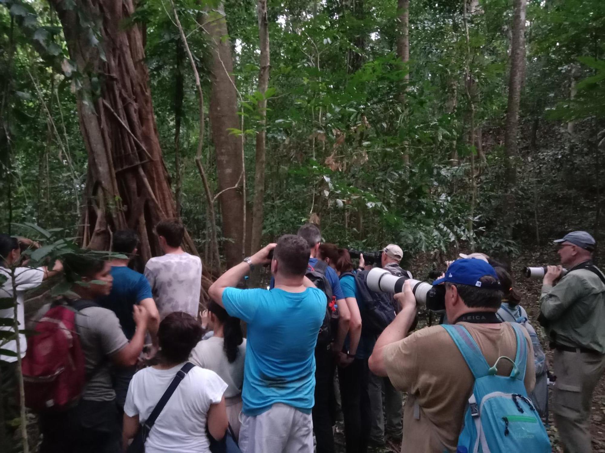 Tangkoko Backpacker Home Stay Rinondoran Екстериор снимка